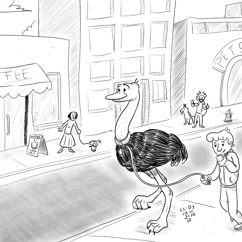 In this cartoon there's a person walking their pet ostrich and other bypassers look befuddled.