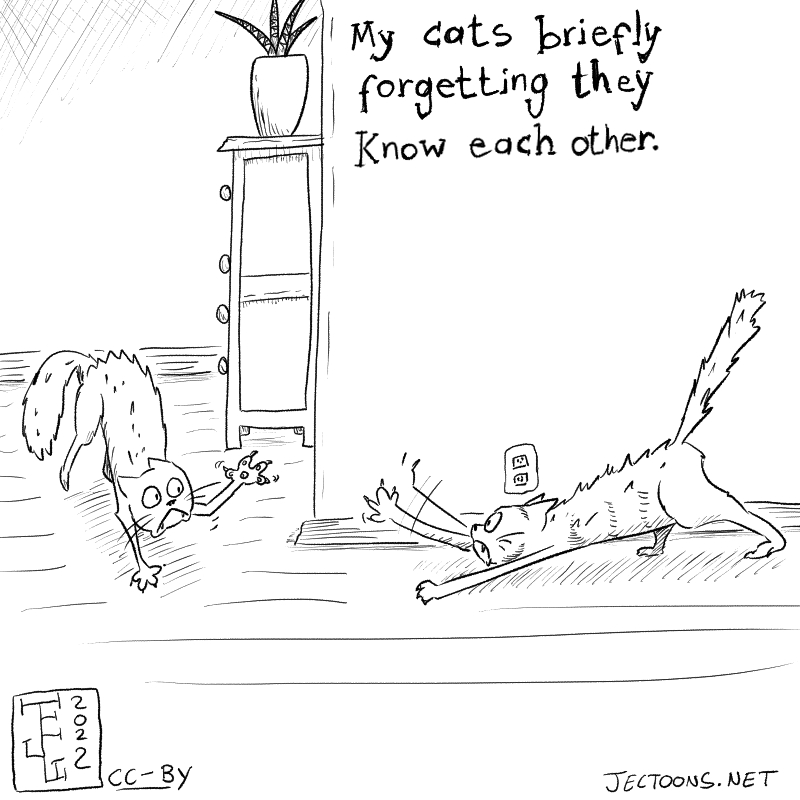 In this cartoon two cats are startled and fight each other. Text on top says ' My cats briefly forgetting they know each other'.