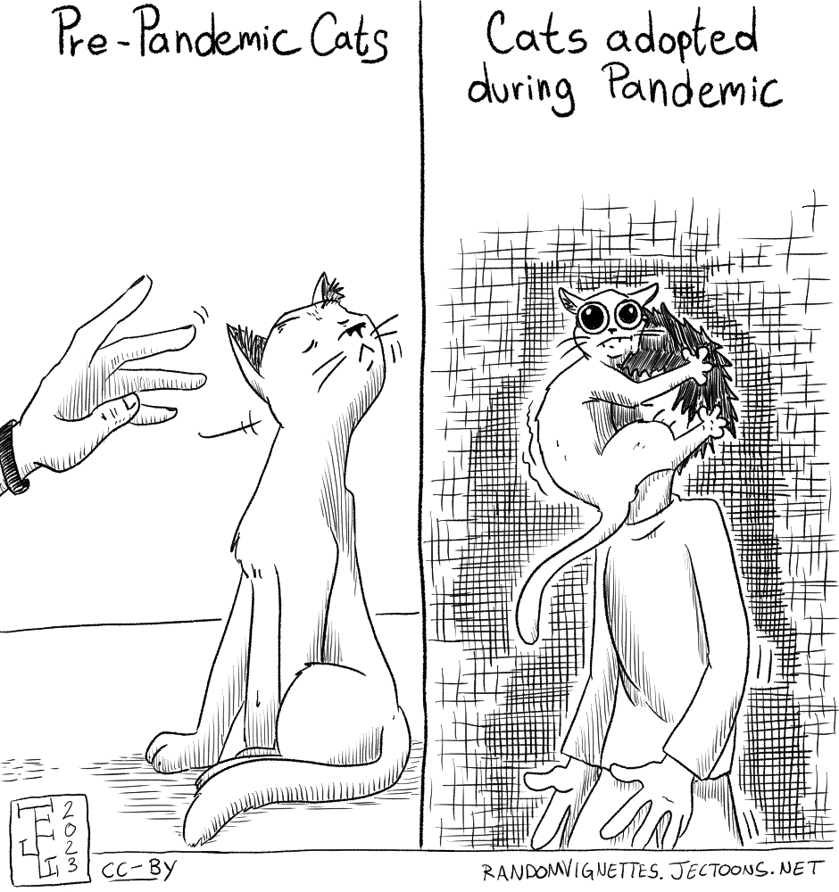This cartoon is divided in two. On the left side there's a cat being aloof and uninterested, and the side is labeled 'Pre-Pandemic Cats'. On the right the cat is attached to the face of a person, looking anxious, and the side is labeled 'Cats Adopted During Pandemic'.